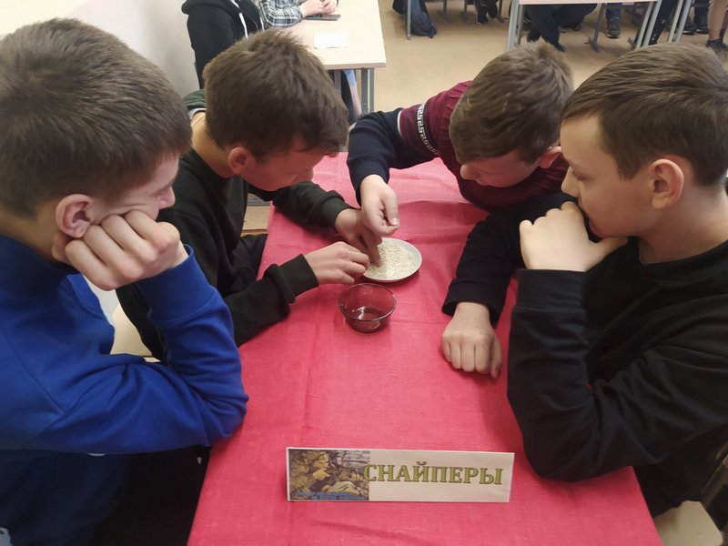 0-02-01-8d732b6e0c6dbe514ddba4fb9a3246cf24664a0d65f6cdc4fe1c523c07e455a1_4e675d7edd710c43